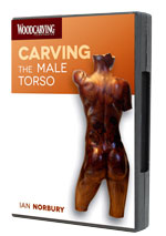 Carving the Male Torso