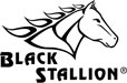 Black Stallion